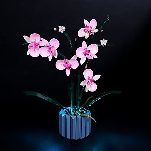 Kyglaring Kit di illuminazione a LED, set di luci progettato per Lego Orchid 10311, versione classica senza set Lego