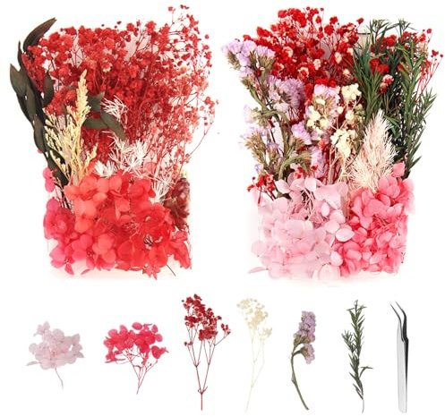XIAQICA 2 Boxen Getrocknete Blumen Kleine Trockenblumen Getrocknete Blumen für Epoxidharz Natürliche Trockenblumen Deko mit Pinzette für Kerzen Aromatherapie Maniküre Karten