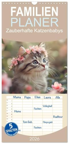 Familienplaner 2026 - Zauberhafte Katzenbabys mit 5 Spalten (Wandkalender, 21 cm x 45 cm), CALVENDO: Lassen Sie sich jeden Monat aufs Neue durch die ... der Katzenbabys verzaubern. (CALVENDO Tiere)