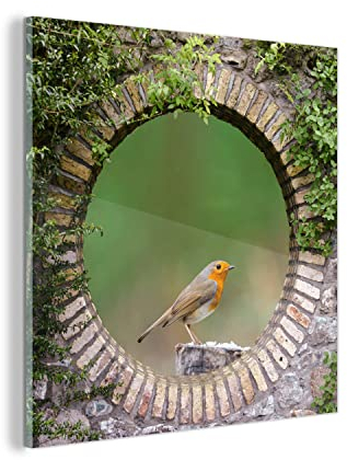 MuchoWow Glasbild Glasfoto Wandbild Bilder Deko 50x50 cm Vogel - Durchblick - Rotkehlchen