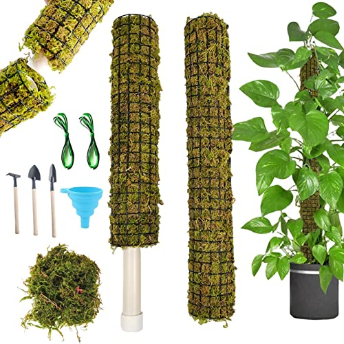 Voiakiu musgo para plantas trepadoras. musgo apilables para plantas interior - Monstera Plant Support para proporcionar un excelente entorno escalada para plantas