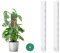 MIXC Moosstab Rankhilfe Zimmerpflanzen 2 Stück 61cm Pflanzstab Plastik Pflanzenstütze für Monstera Kletterpflanzen mit 1.5m Pflanzenbänder Klett