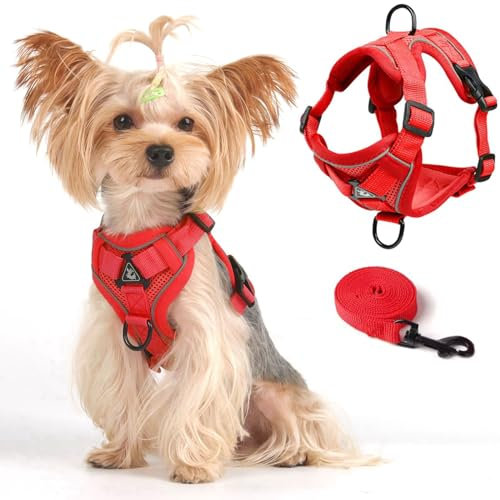 Weste Geschirr Leinen Set für Kleine Hunde Große Katzen, Ausbruchsicher Verstellbare Jacke mit Leine für Welpen Dicke Katzen zum Spazierengehen im Freien, Netzmantel mit Reflektorstreifen, XL, Rot