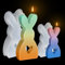 EPODA Silikonformen GießFormen Ostern, Silikonform Osterhase, 2 Stück Silikonform Hase Ostern, 3D Hasenform GießFormen Silikon, Kerzenformen Zum GießEn