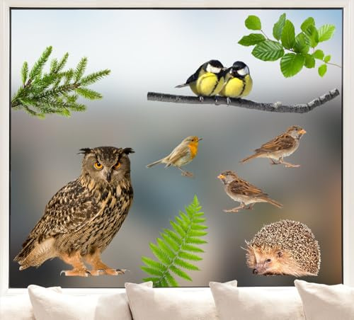 Pixblick Fenstersticker - Waldset I Waldtiere I Eule I Spatzen I Meisen I Igel I Made in Germany I Wiederverwendbar