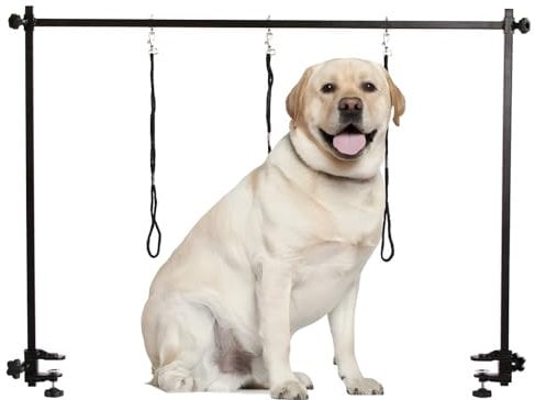 Qiwey Haustier Fellpflege Arm mit Klemme und 3 Hundepflege Schlaufe, Pflege Tischarm mit 35,4 '' Einstellbarer Höhe und 35,4 '' ~ 47,2 '' Einstellbarer Breite für große und kleine Hunde