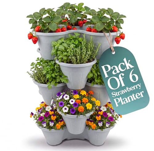 Klass Home Collection Stackable Strawberry Planter Tower Pack of 6, Vertical Garden Planters outdoor & Indoor for Balcony, Patio, Plant Pots for Flowers, Vegetables Herb Garden Planter (Grey)
