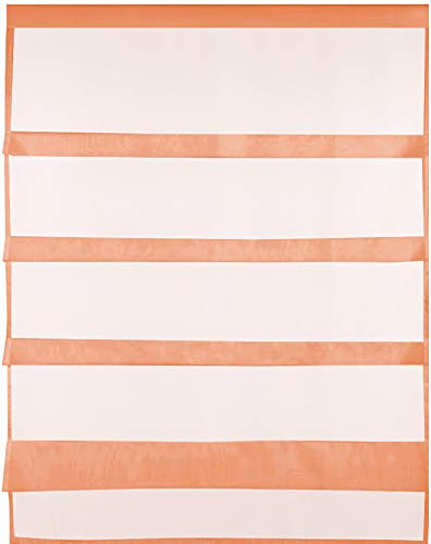 Transparente Bistrogardine Raffoptik mit Stangendurchzug in Voile, schlicht und modern in vielen erhältlich (90 x 110 cm/apricot - orange)