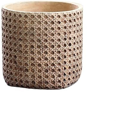 Grande vaso da fiori in cemento per cactus e piante grasse, durevole ed elegante, per interni ed esterni