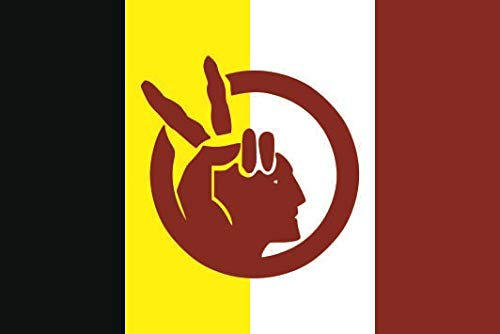 U24 Aufkleber Nordamerikanische Indianer Flagge Fahne 8 x 5 cm Autoaufkleber Sticker