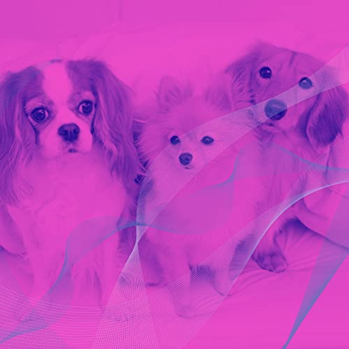 Deluxe Background for Homey Dogs