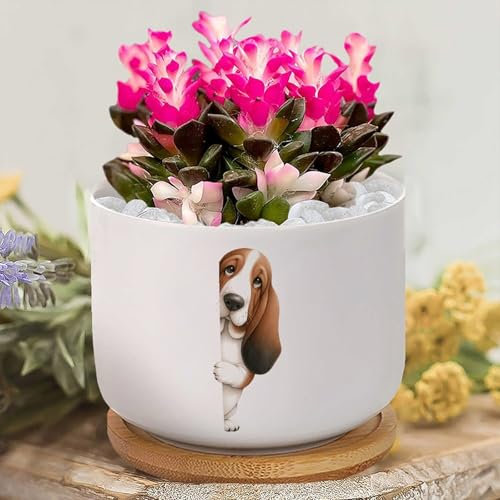 Yelolyio Personalized Planters Ceramic Basset Hound Small Plant Pot Ceramic Dog Peeking Around Corner Succulent Pot Flower Pots for Indoor Plants