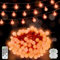 12 M 100 LED Fairy Lights Outdoor IP44 Waterproof Globe String Lights Battery Operated Christmas Lights with Remote 8 Modes for Bedroom Patio Garden Party Indoor Camping Tent Decorations Orange