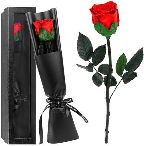 Encuryna Ewige Rose in Luxus Geschenkbox – Echte Konservierte Rose mit Stiel Frauen, Mama & Freundin – Geburtstag, Valentinstag, Muttertag, Hochzeit & Jubiläum (Langlebig & Elegant)