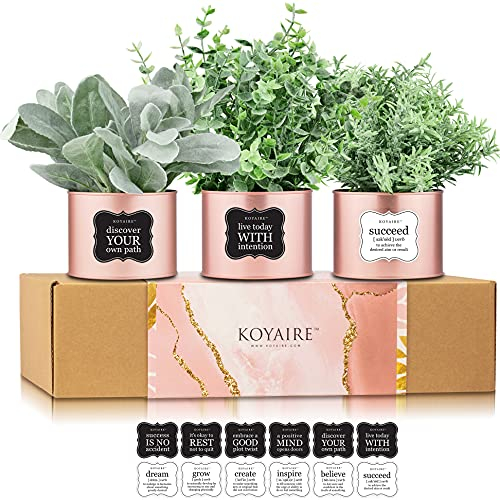 Set von 3 Rose Gold Schreibtischzubehör für Frauen Büro; Eukalyptus, Rosmarin, Lammohren, kleine gefälschte Pflanzen; Raumdekoration Frauen; Kunstpflanzen Innen; Home Office Schreibtisch Zubehör