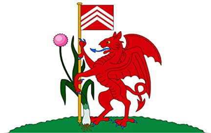 Cardiff Wales Rectangle Fridge Magnet Fantastic Souvenir