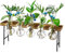 Stations de Propagation Terrarium de Plantes à de Bureau, Vase en Verre avec Support en Bois - Terrarium pour Plantes
