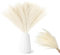 RXKFIGX 30pcs Hierba de la Pampa,Hierba de la Pampa Artificial,55cm Hierba de la Pampa Deco,Pampasgra Deco Flores Secas Flores Secas Deco Flores Artificiales Plantas
