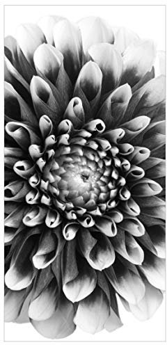 Bilderwelten Raumteiler Aster II 250x120cm ohne Halterung
