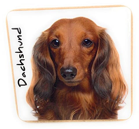 Untersetzer mit Dackel-Motiv, für Getränke, Kaffee, Tee, 9,5 x 9,5 cm, Geburtstagsgeschenk, Weihnachtsstrumpffüller, Geschenk für Hunde/Mütter, Hundeliebhaber