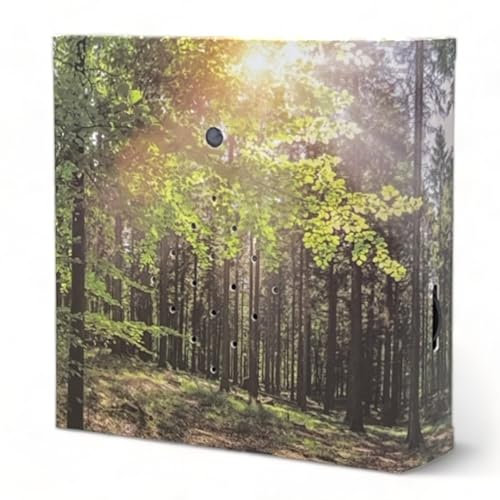 MIJOMA Soundbox mit Vogelgesang und Waldkulisse - Wohltuende Entspannung für Ihr Zuhause | Lautsprecher, Bewegungsmelder & EIN-/AUS-Schalter | Ideal für Bad, Flur, Büro & Wohnzimmer | 12x12cm (Forest)
