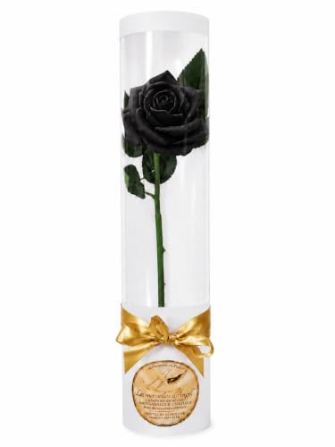 Générique Rose éternelle Noire – Fleur Artificielle décorative en résine – Cadeau Romantique Saint-Valentin, Anniversaire, receuillement, Hommage, décoration intérieure et extérieure