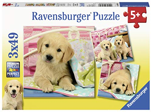 Ravensburger Kinderpuzzle - 08065 Kuschelige Hündchen - Puzzle für Kinder ab 5 Jahren, mit 3x49 Teilen