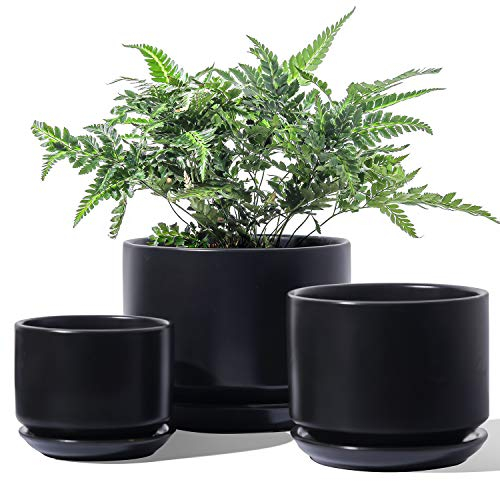 LE TAUCI 3er Pack Keramik Blumentöpfe, 11+13+17 cm Durchmesser Klein Übertöpfe Set, Blumentopf für Zimmerpflanzen mit Untersetzer und Abflussloch, Schwarz