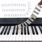LINXINS 88-Key Full Size Removable Piano Keyboard Note Labels, Colorful, Modern, Beginner Piano Accessory