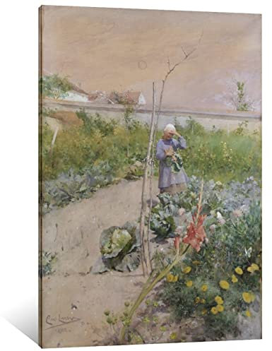 Carl Larsson In The Kitchen Garden Kunstdruck auf Leinwand, 50 x 75 cm, 38 Stück