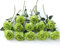 Laelfe 12 Pcs Artificial Green Roses Flowers, Long Stem Faux Silk Green Flower Fake Roses for Home Wedding Party Arrangment Hotel Garden Decoration