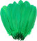Plumas Manualidades Decoración de Colores para Fiesta, Plumas Carnaval Decorativas India para Manualidades, 120pcs (Talla única, VERDE)