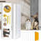 Kratzschutz Sofa Katze, 5m x 20cm Kratzfolie Katzen Selbstklebend, Kratzschutz Wand, Anti Kratz Folie für Katzen, AntiKratz Tape für Möbel Couch Tür Wand Schutz