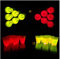 Power Lightz Beer Pong Set - 14-teilig mit zwei Ping Pong Bällen und zwölf Glow-in-The-Dark/Knicklicht-Bechern/Cups in rot und gelb leuchtend - tolles Party-Gadget für Silvester oder Geburtstag