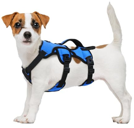 rabbitgoo Ausbruchsicheres Hundegeschirr Mittelgroße Hunde mit Griff, Anti Zug Sicherheitsgeschirr Hund Atmungsaktiv, Verstellbare Brustgeschirr, Gepolstertem Hundeweste, Panikgeschirr, Blau S