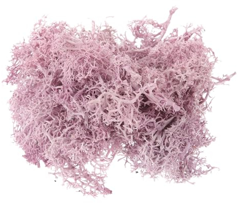 Supvox Wohnkultur 1 Plastik Moos Künstliches Moos Für Pflanzen Synthetisches Landschaft Aquariumdekoration Bilderrahmen Kunst Zum Basteln Violett Konservierte Falsches Gras