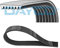 Dayco Keilrippenriemen 7PK1055S