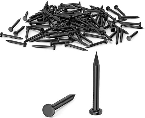 100Pcs 25mm Nails for Wood, Wood Nails, Galvanized Concrete Wall Nail, Masonry Nails, Picture Nails for Carpentry & DIY, Hanging Pictures and Woodworking-Black