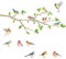 DECOWALL DA-1804 Garten Vögel auf Ast Baum Wandtattoo