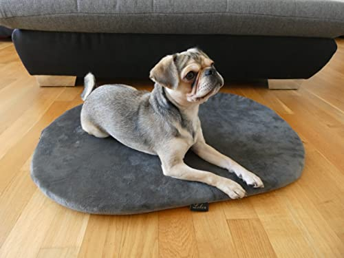 Lebon - Hugo - Hundematte, Liegematte für Hunde, Hundebett - 90 Grad waschbar - Made IN EU