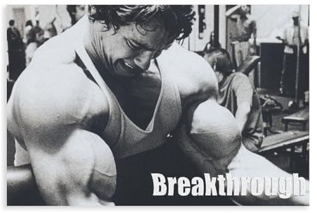 Arnold Schwarzenegger 6 Leinwand Poster Wand Kunst Dekor Drucken Bild Gemälde Für Wohnzimmer Schlafzimmer Dekoration Unframe-style 16x24inch(40x60cm)