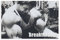 Arnold Schwarzenegger 6 Leinwand Poster Wand Kunst Dekor Drucken Bild Gemälde Für Wohnzimmer Schlafzimmer Dekoration Unframe-style 16x24inch(40x60cm)