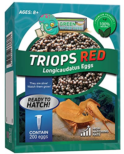 Greenwaterfarm Triops Red Longicaudatus Eggs for Hatching and Culture Suitable to be Pet and Science Project (Pure 200 Eggs)