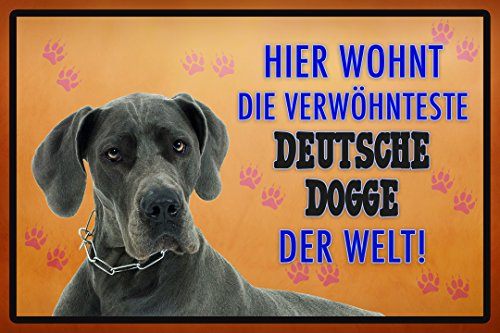 Schatzmix CC0925 wohnt die Verwöhnteste deutsche Dogge der Welt Metallschild Wanddeko 20x30 cm tin Sign Blechschild, Blech, Mehrfarbig