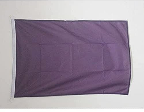 AZ FLAG - Drapeau Unicolore Violet - 45x30 cm - Pavillon Nautique De Couleur Violette Spécial Bateau Et Extérieur En Maille Bloquée Avec Anneaux Plastiques Intégrés - 30g