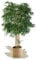 Maia Shop | Künstlicher Bambus | Kunstpflanzen | Künstlicher Baum | Maße: 190 x 80 cm | Kunstpflanze Groß | Fake Plant | Plastik Pflanze | Deko | Deko Wohnzimmer