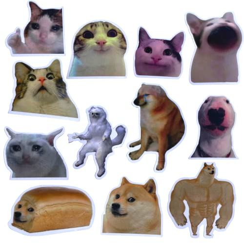 Lustige Magnete, lustiges, niedliches Cooles Meme-Zitat, Wortmagnet-Set für Erwachsene; anwendbar auf Kühlschrank, Kühlschrank und Auto mit Jesus I Saw That, It's fine cat & Dog Gifts (B)