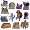 Lustige Magnete, lustiges, niedliches Cooles Meme-Zitat, Wortmagnet-Set für Erwachsene; anwendbar auf Kühlschrank, Kühlschrank und Auto mit Jesus I Saw That, It's fine cat & Dog Gifts (B)