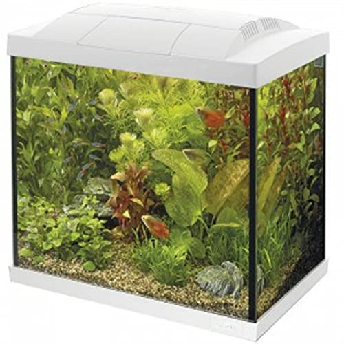 Superfish Start 50 Aquarium, Weiß