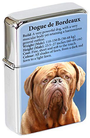 Dogue de Bordeaux Clapet Haut Briquet